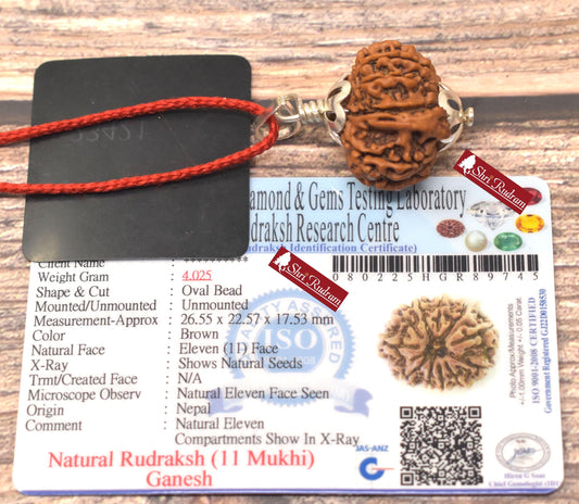 ShriRudram 11 Mukhi Ganesh Rudraksha / Eleven Face Rudraksh Nepal Bead Lab Certified 26.55 MM