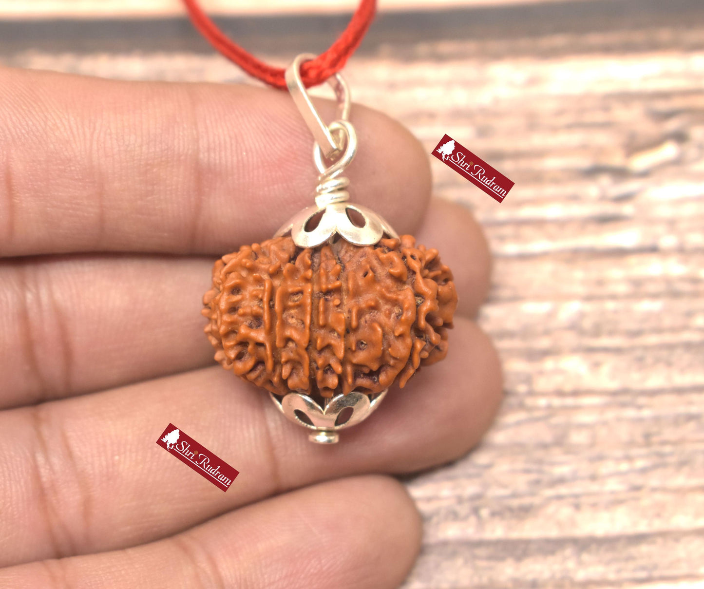 ShriRudram 10 Mukhi Rudraksha / Ten Face Rudraksh Nepal Bead Lab Certified 26.12 MM