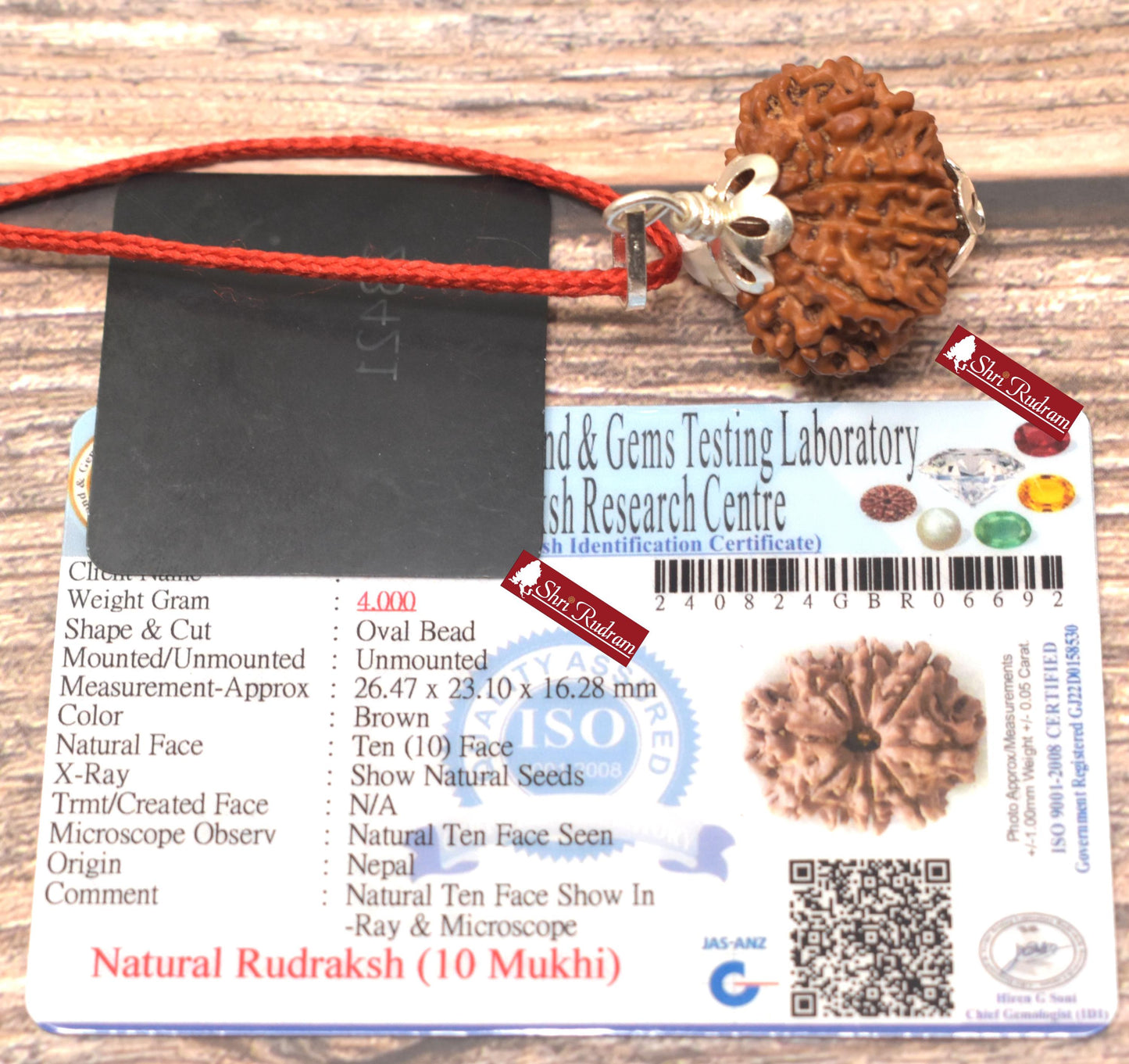 ShriRudram 10 Mukhi Rudraksha / Ten Face Rudraksh Nepal Bead Lab Certified 26.47 MM