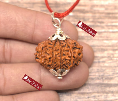 ShriRudram 10 Mukhi Rudraksha / Ten Face Rudraksh Nepal Bead Lab Certified 26.56 MM