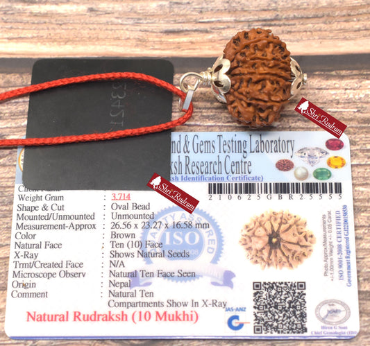 ShriRudram 10 Mukhi Rudraksha / Ten Face Rudraksh Nepal Bead Lab Certified 26.56 MM