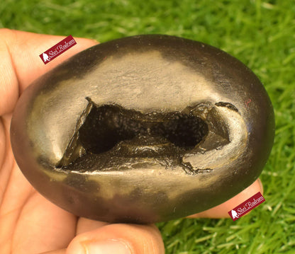 ShriRudram Vishnu  Shaligram, Saligram Stone - Gandaki Nepal,, Pooja Item, Vishnu Puja, Religious Gifts VS351