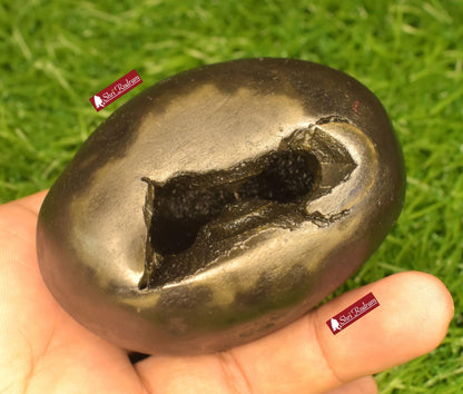 ShriRudram Vishnu  Shaligram, Saligram Stone - Gandaki Nepal,, Pooja Item, Vishnu Puja, Religious Gifts VS351