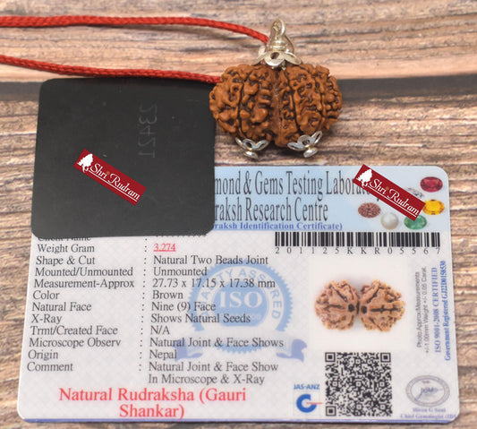 ShriRudram Gauri Shankar Rudraksha / Gouri Sankar Rudraksh Nepal Bead Lab Certified 27.73 MM