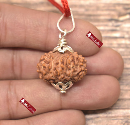 ShriRudram 11 Mukhi Rudraksha / Eleven Face Rudraksh Java Bead Lab Certified 23.14 MM
