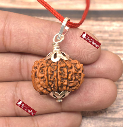 ShriRudram 11 Mukhi Ganesh Rudraksha / Eleven Face Rudraksh Nepal Bead Lab Certified 26.55 MM