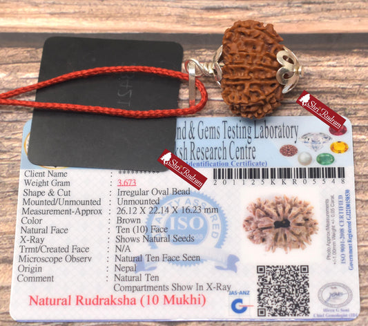 ShriRudram 10 Mukhi Rudraksha / Ten Face Rudraksh Nepal Bead Lab Certified 26.12 MM