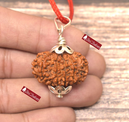 ShriRudram 10 Mukhi Rudraksha / Ten Face Rudraksh Nepal Bead Lab Certified 26.47 MM
