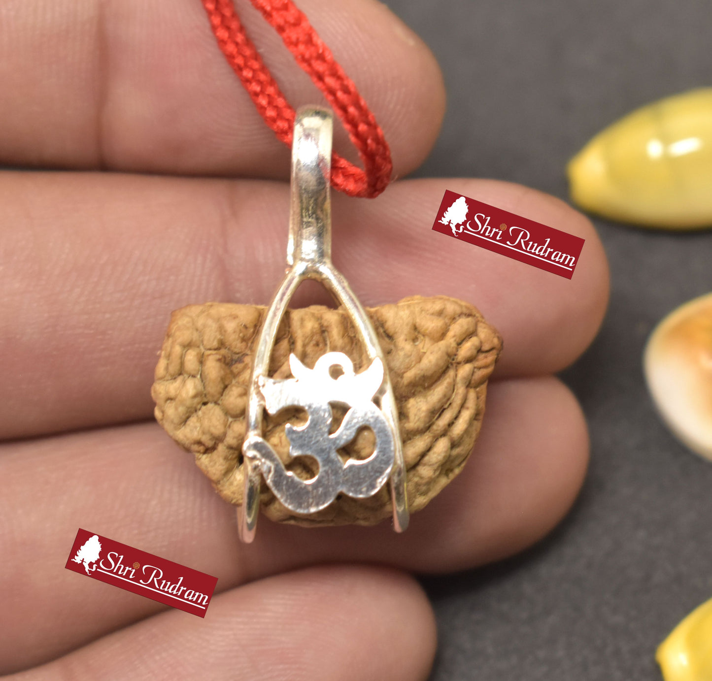 Shri Rudram 1 Mukhi Rudraksha/ One Face Rudraksh Bead Lab Certified Top Quality